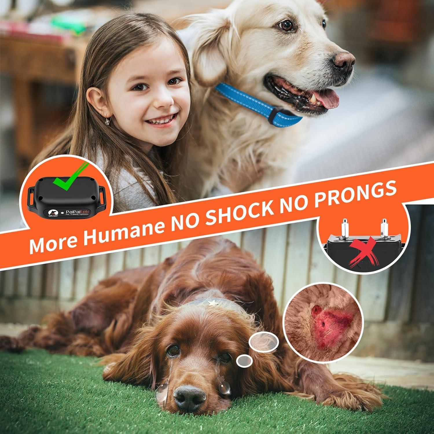 Collar de Entrenamiento Sin Choque PaiPaitek 1000m Vibrante IPX7