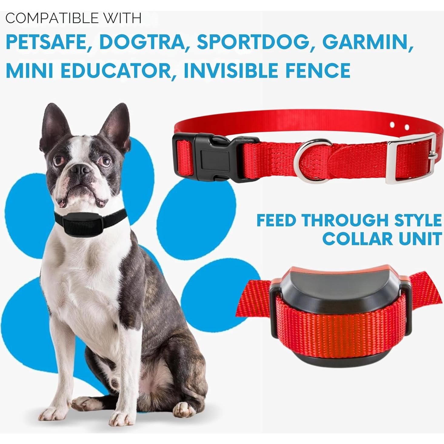 Correa de Reemplazo para E-Collar Gracie To The Rescue 2.54 cm Púrpura