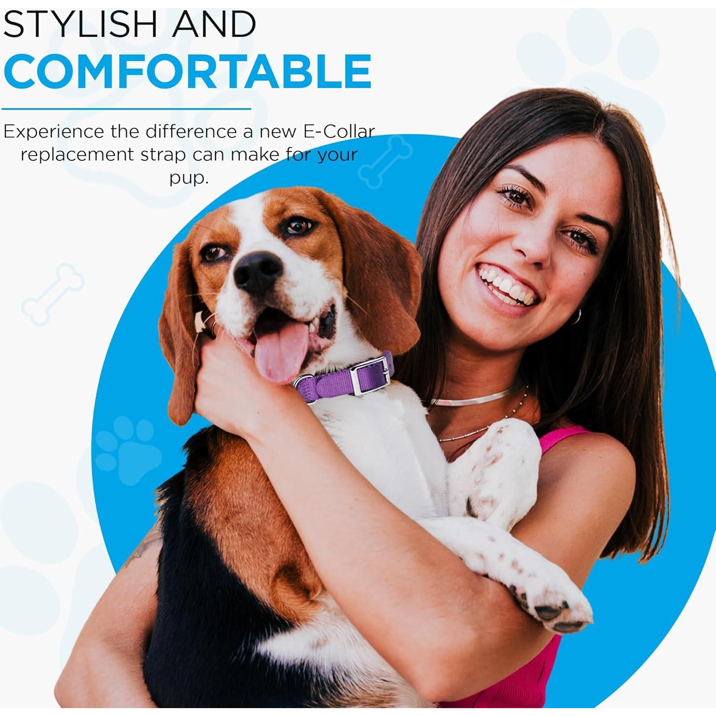 Correa de Reemplazo para E-Collar Gracie To The Rescue 2.54 cm Púrpura