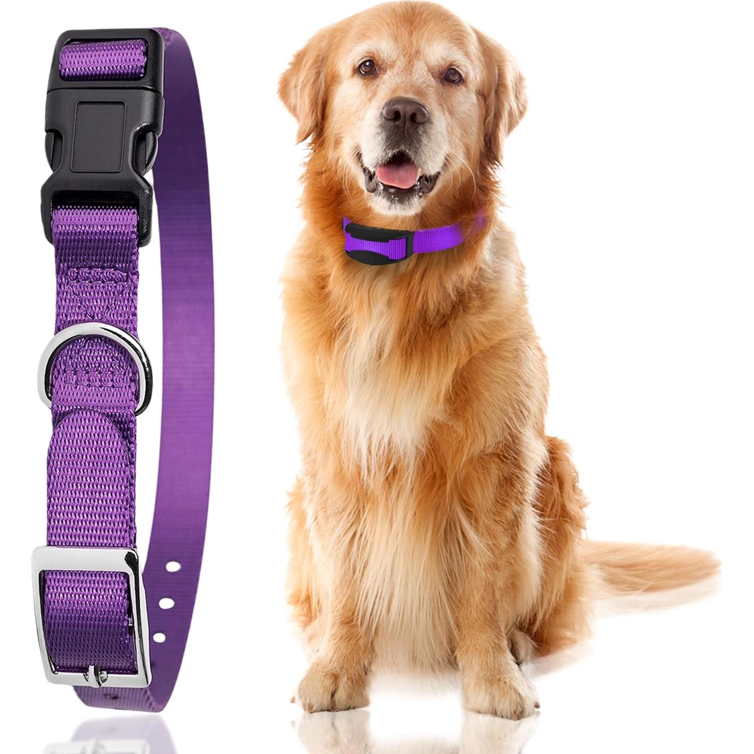 Correa de Reemplazo para E-Collar Gracie To The Rescue 2.54 cm Púrpura