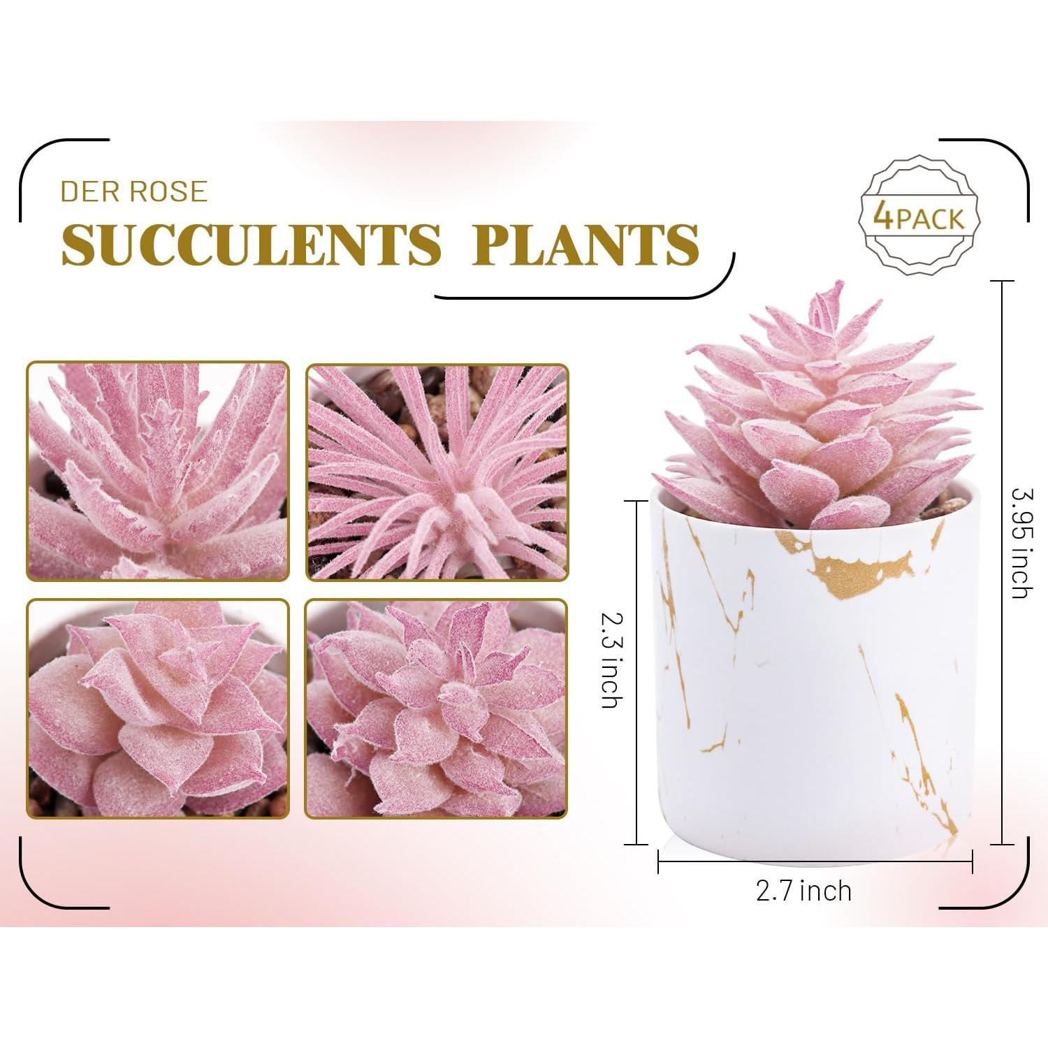 Plantas Suculentas Falsas Der Rose - 4 Paquetes Rosadas