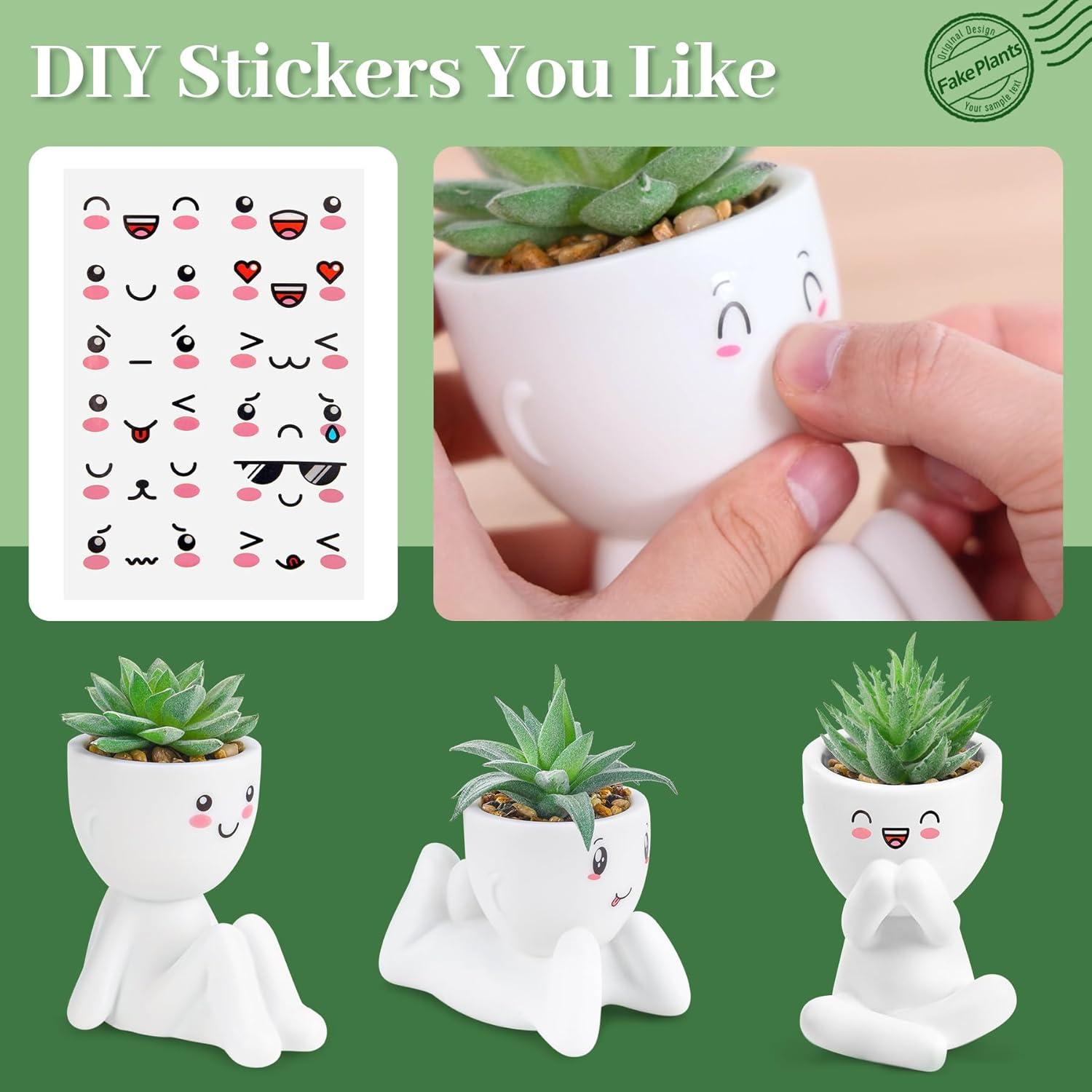 Plantas Falsas Suculentas Der Rose - 3 Paquetes Decorativos