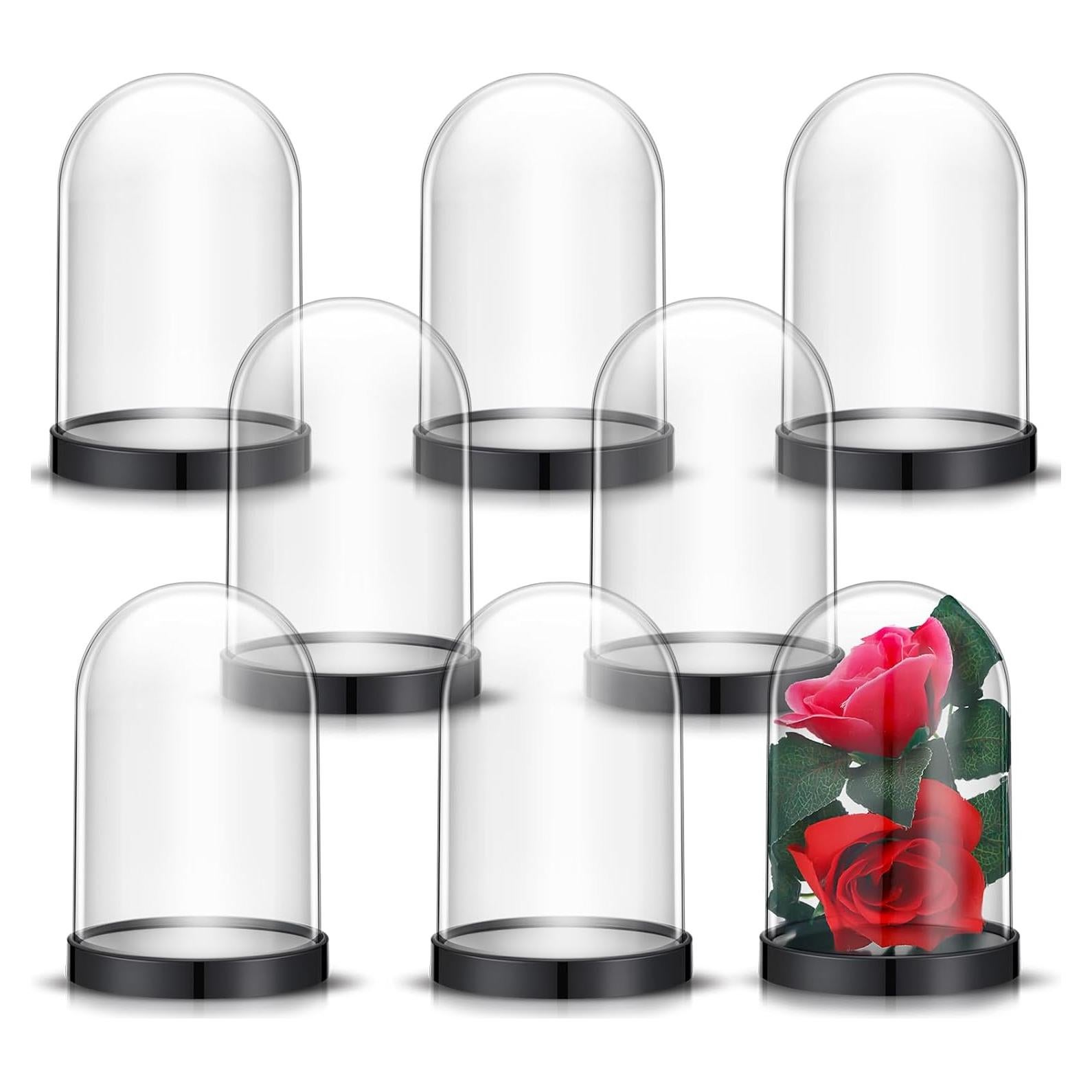 Caja de Exhibición de Plástico Zhengmy 8 Piezas 12.5x8.5cm