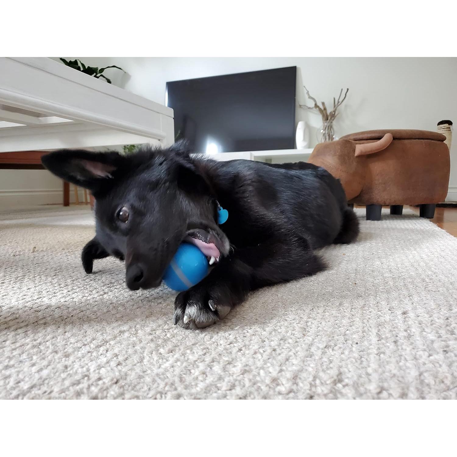 BarxBuddy Busy Ball Juguete Interactivo para Gatos y Perros