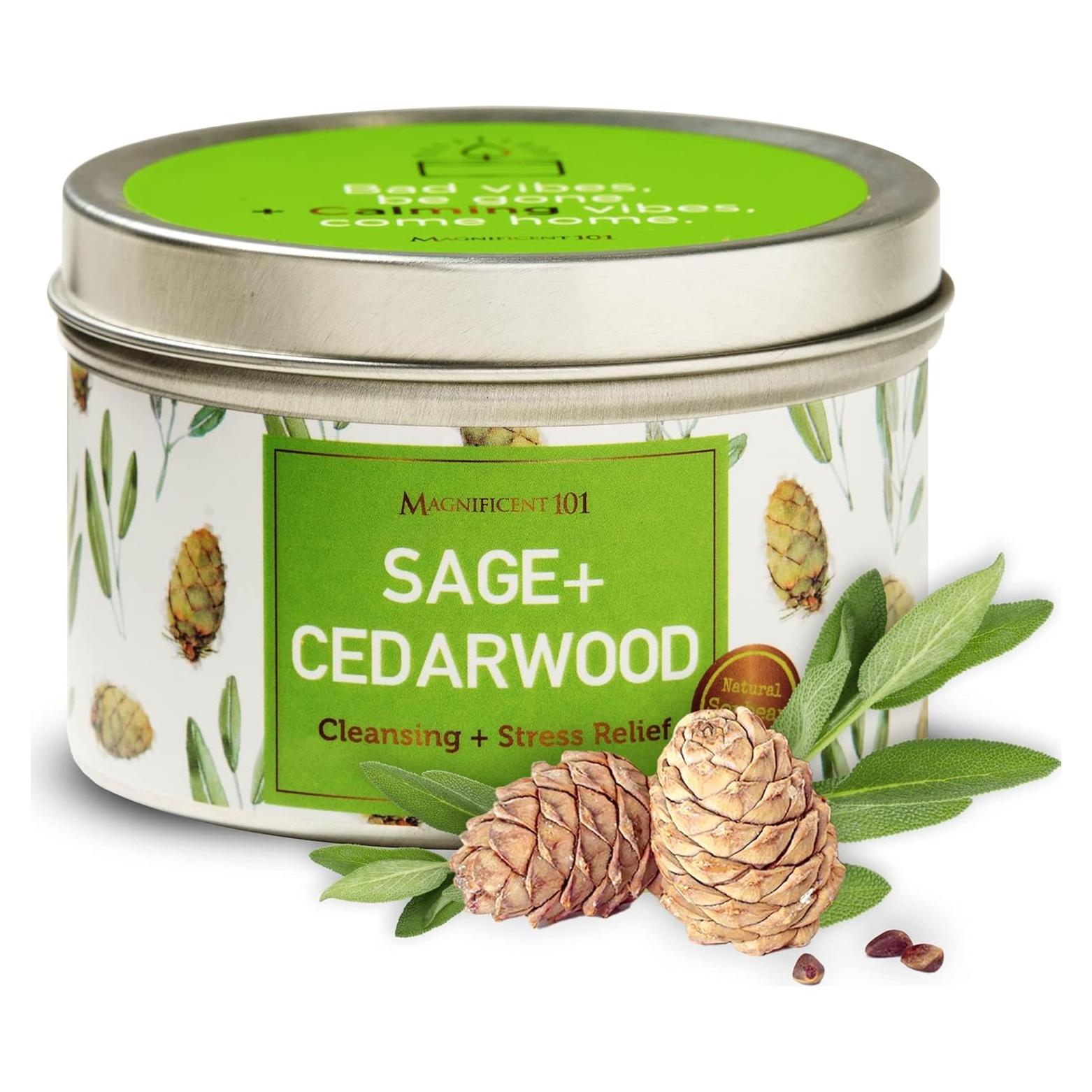 Vela Aromática Magnificent 101 Salvia y Madera de Cedro 170g