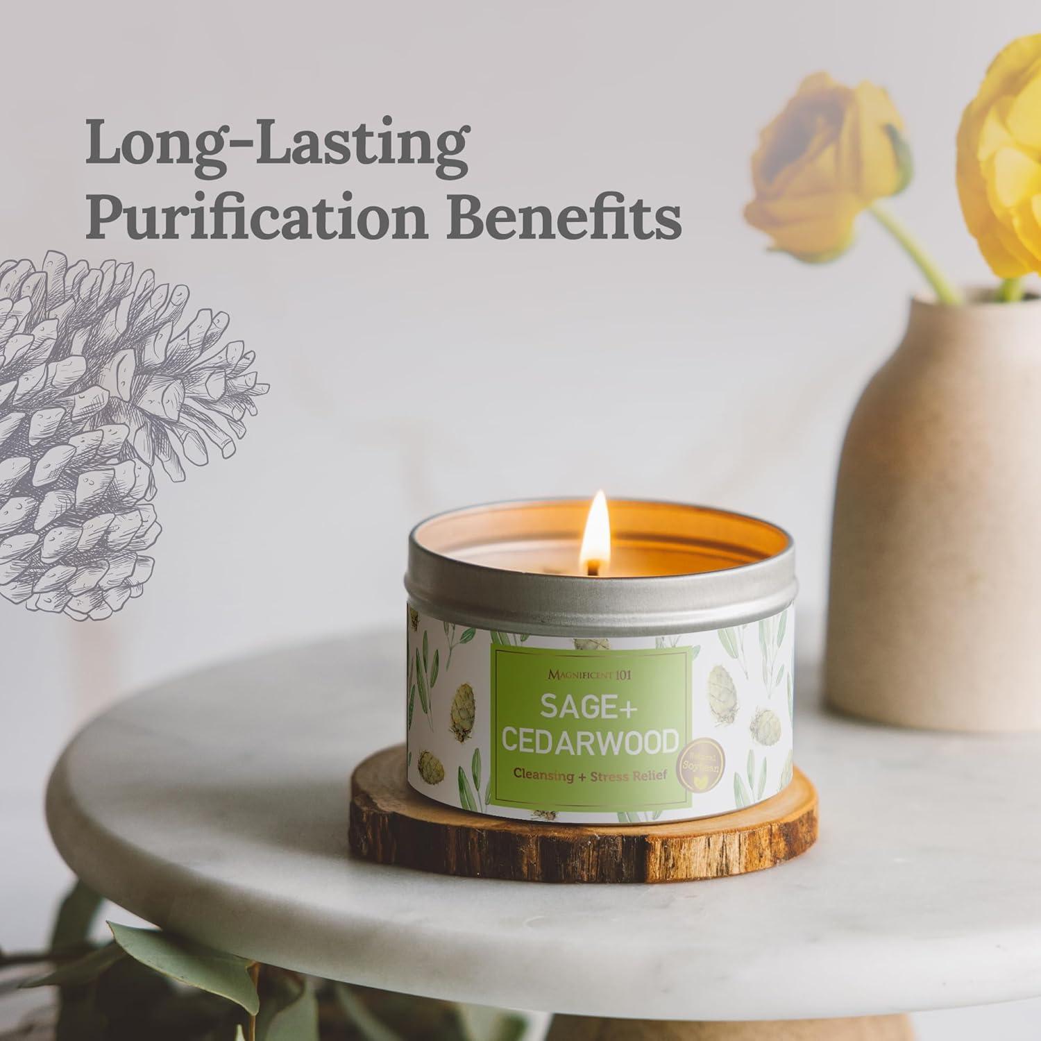 Vela Aromática Magnificent 101 Salvia y Madera de Cedro 170g