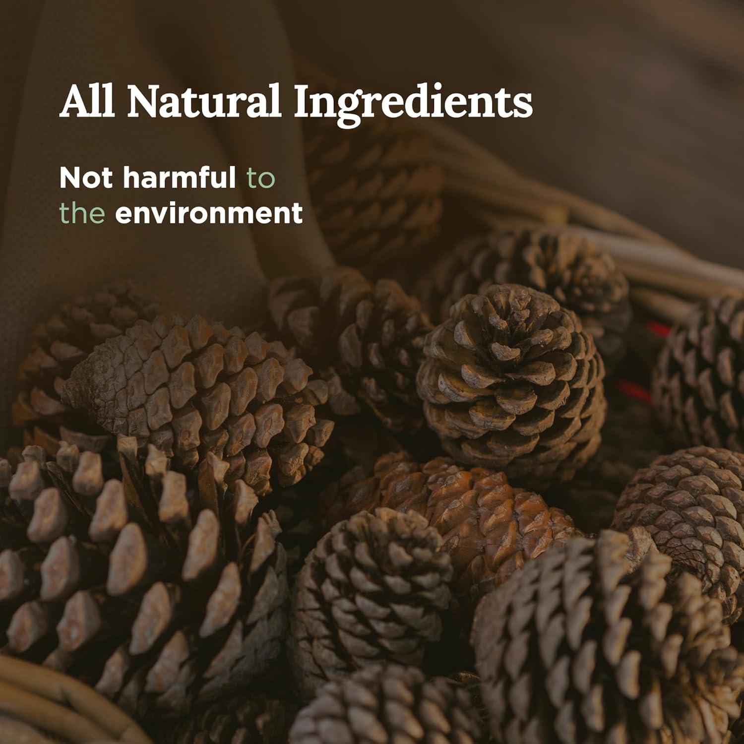 Vela Aromática Magnificent 101 Salvia y Madera de Cedro 170g