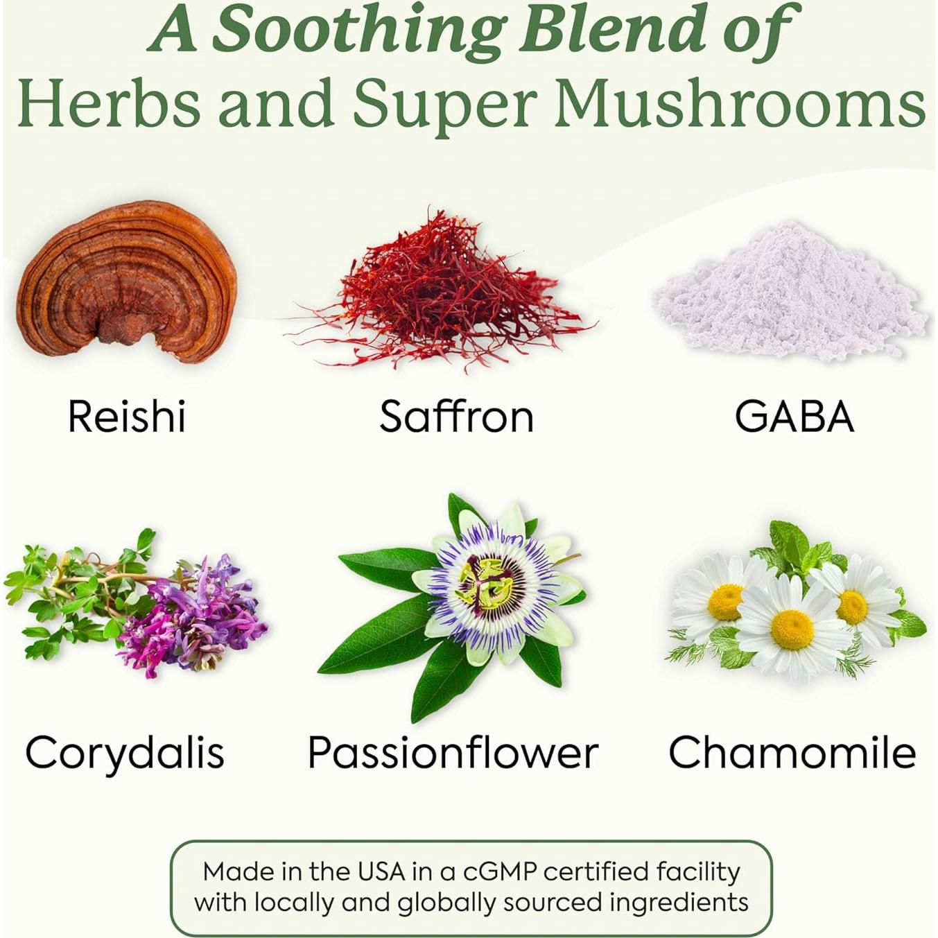 Gomitas de hongos Plant People WonderSleep 60 unidades