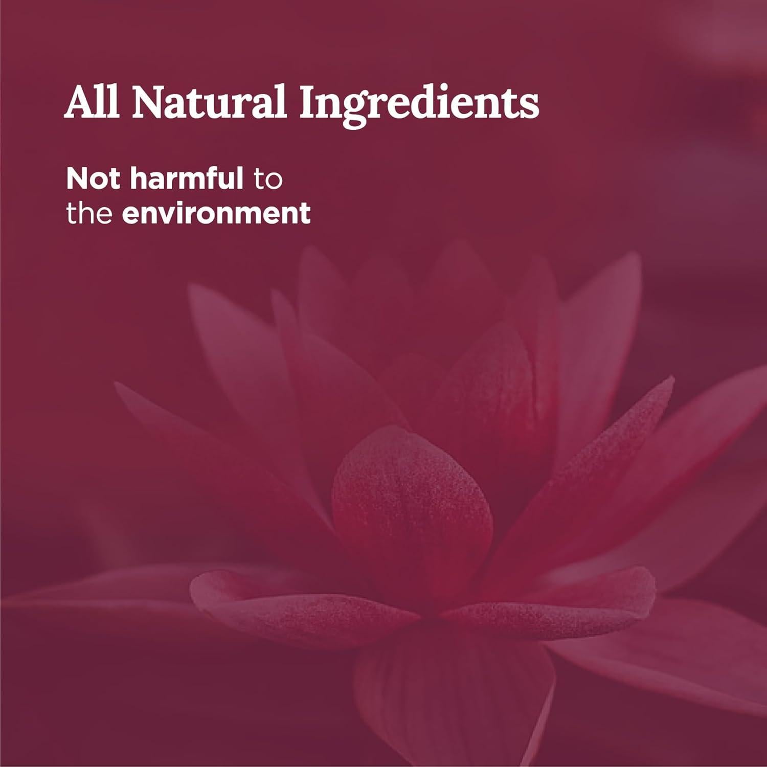 Vela de Afirmación Magnificent 101 - Cera de Soja 170 g - Aroma Salvia y Palo Santo - 35 Horas de Quema