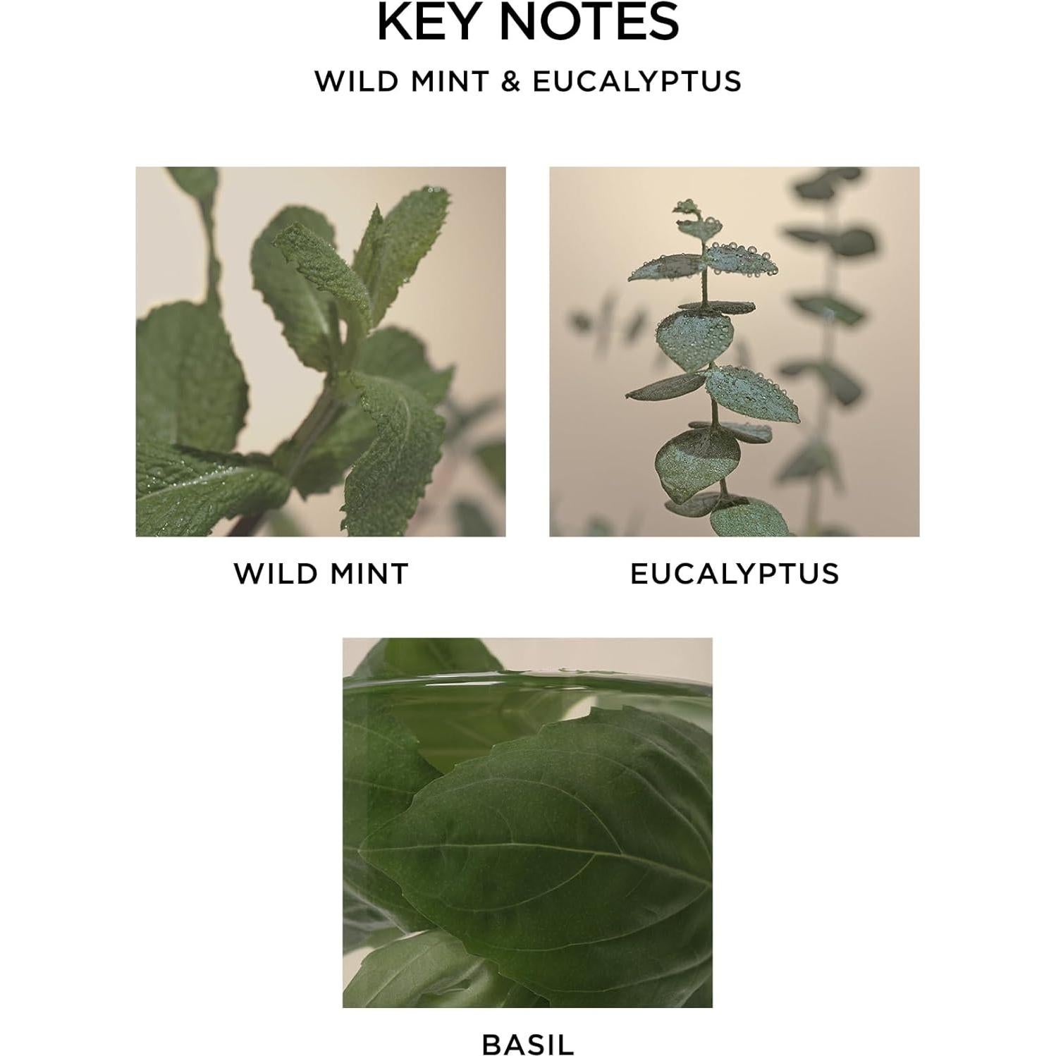 Vela Aromática NEST Nueva York 230 g Menta y Eucalipto