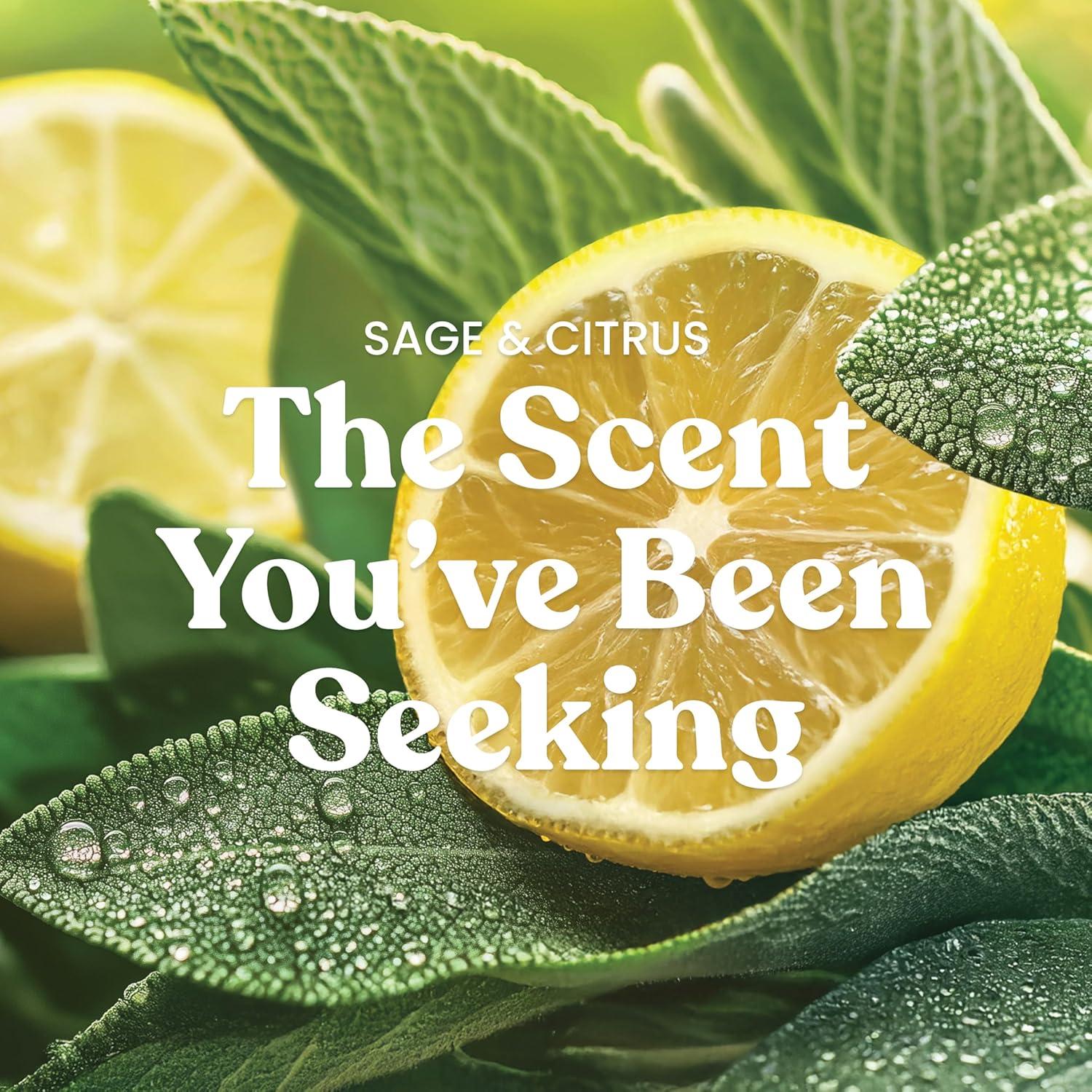 Vela Aromática Yankee Candle Tarro Grande 22 oz Salvia y Cítricos