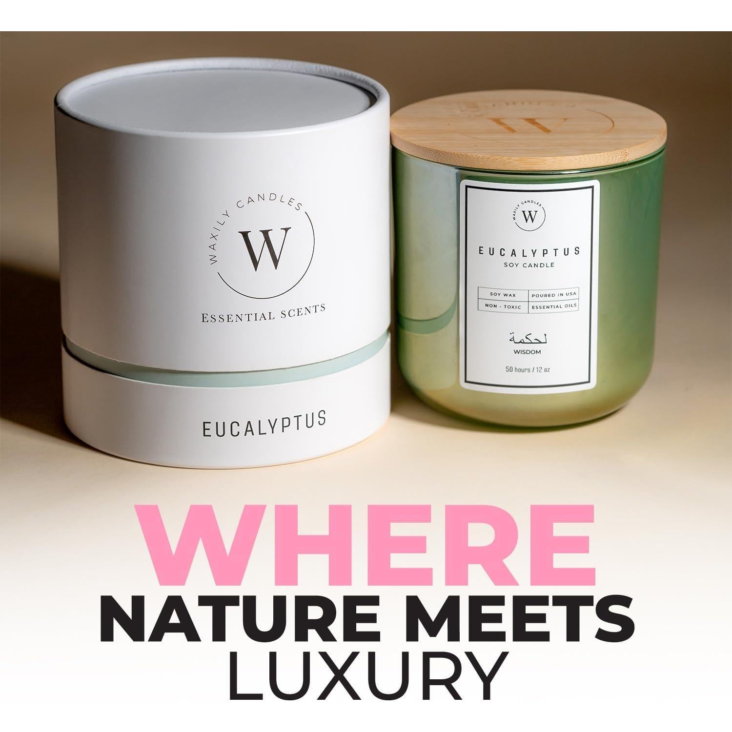 Vela de Soja Eucalipto Waxily 340g - Aromaterapia Natural