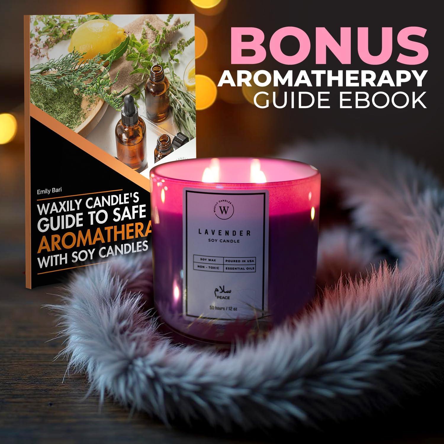 Vela de Soja Eucalipto Waxily 340g - Aromaterapia Natural