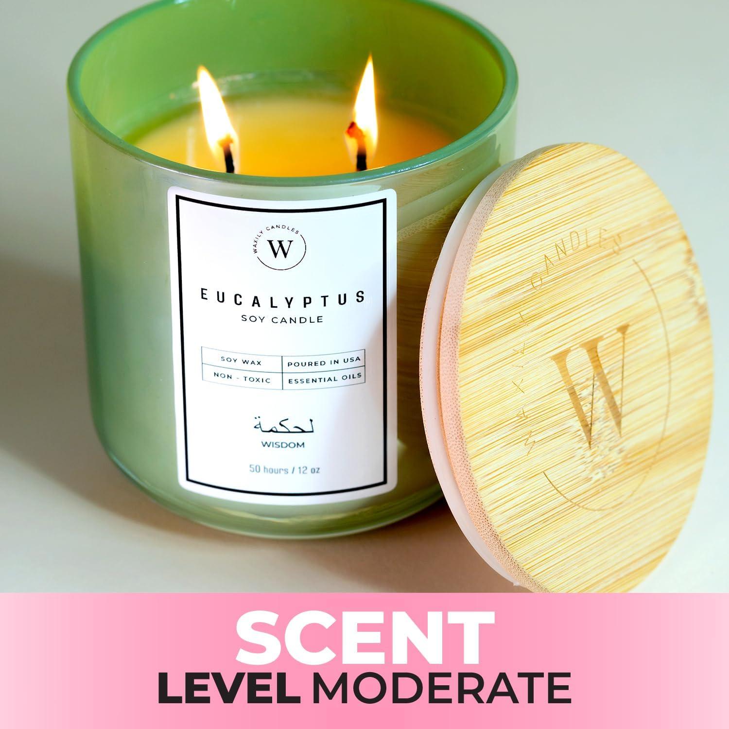 Vela de Soja Eucalipto Waxily 340g - Aromaterapia Natural