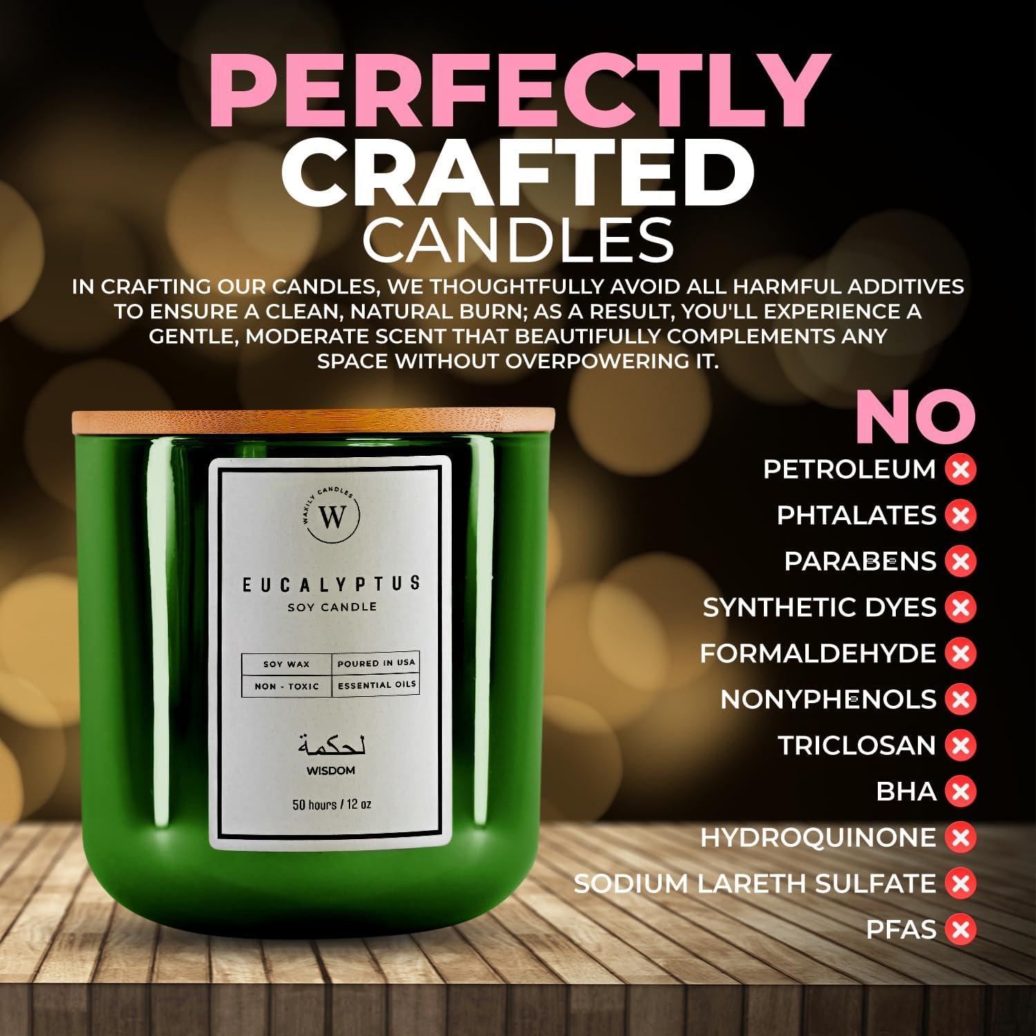 Vela de Soja Eucalipto Waxily 340g - Aromaterapia Natural