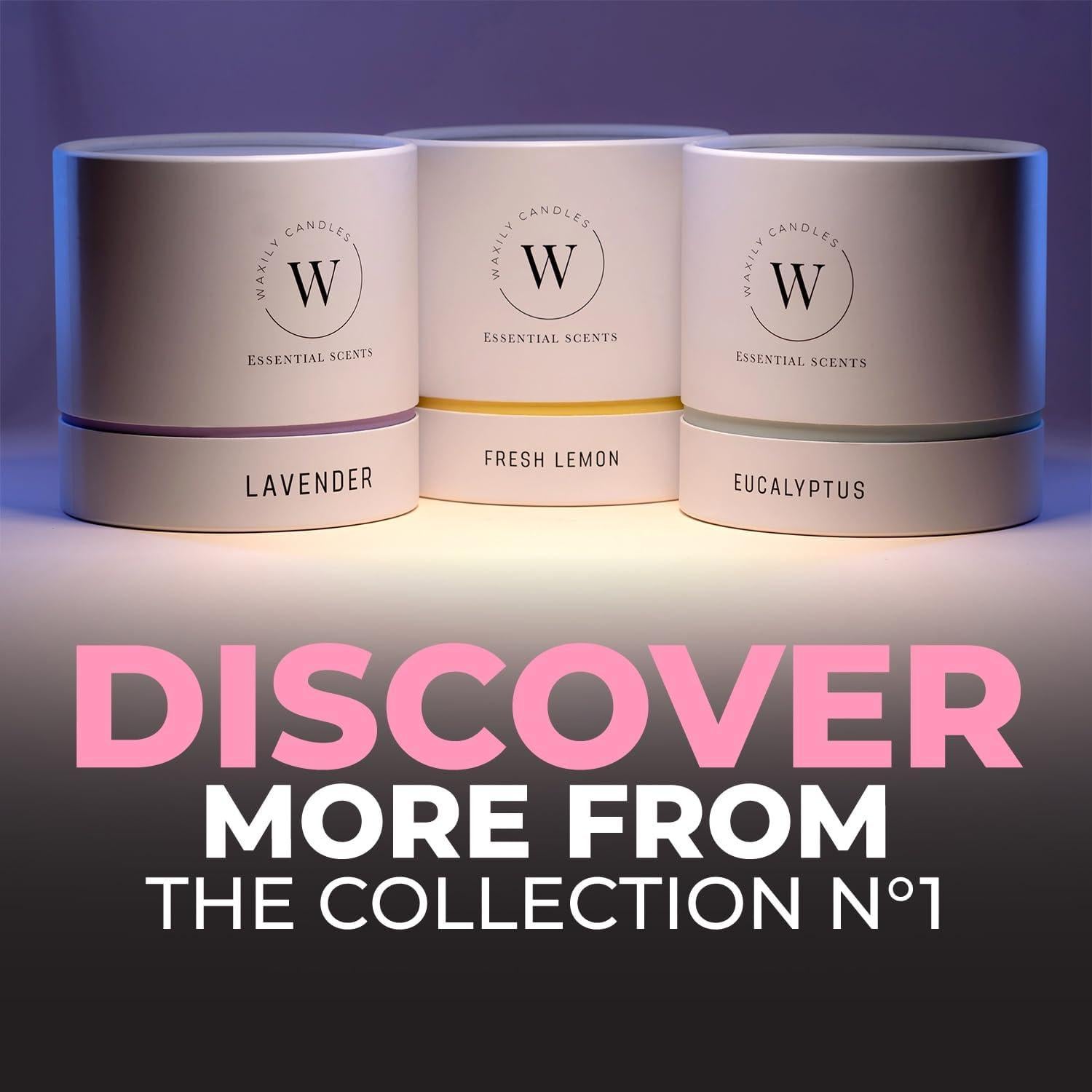 Vela de Soja Eucalipto Waxily 340g - Aromaterapia Natural