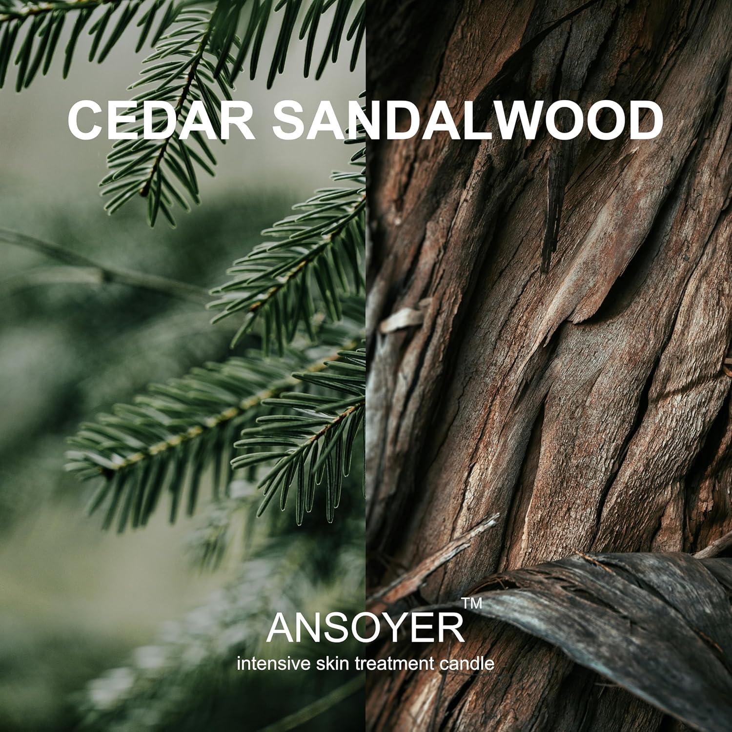 Vela de Masaje ANSOYER 50g - Aceite de Soja y Cáñamo