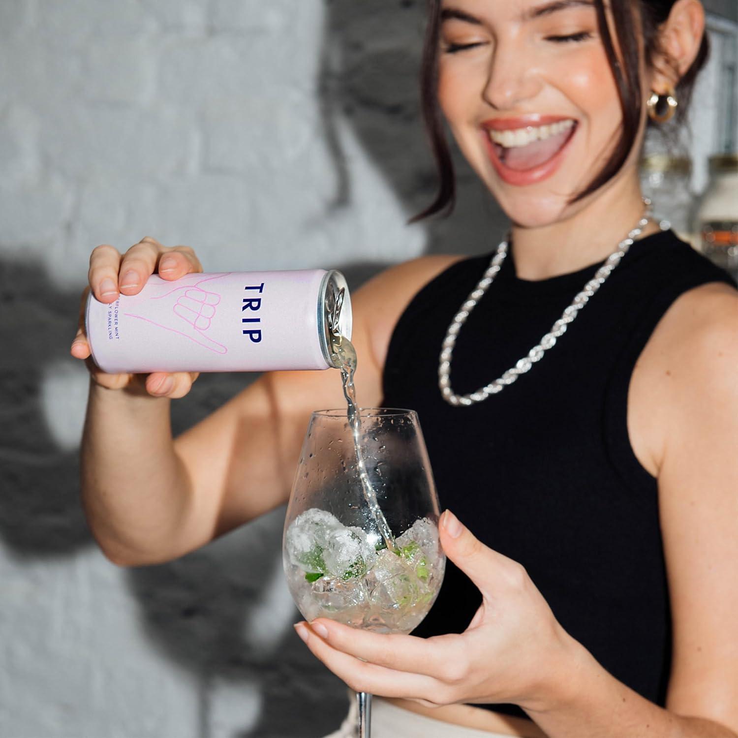 Seltzer Adaptógeno Trip Mindful Blend Melón Pepino 355ml 12Pk