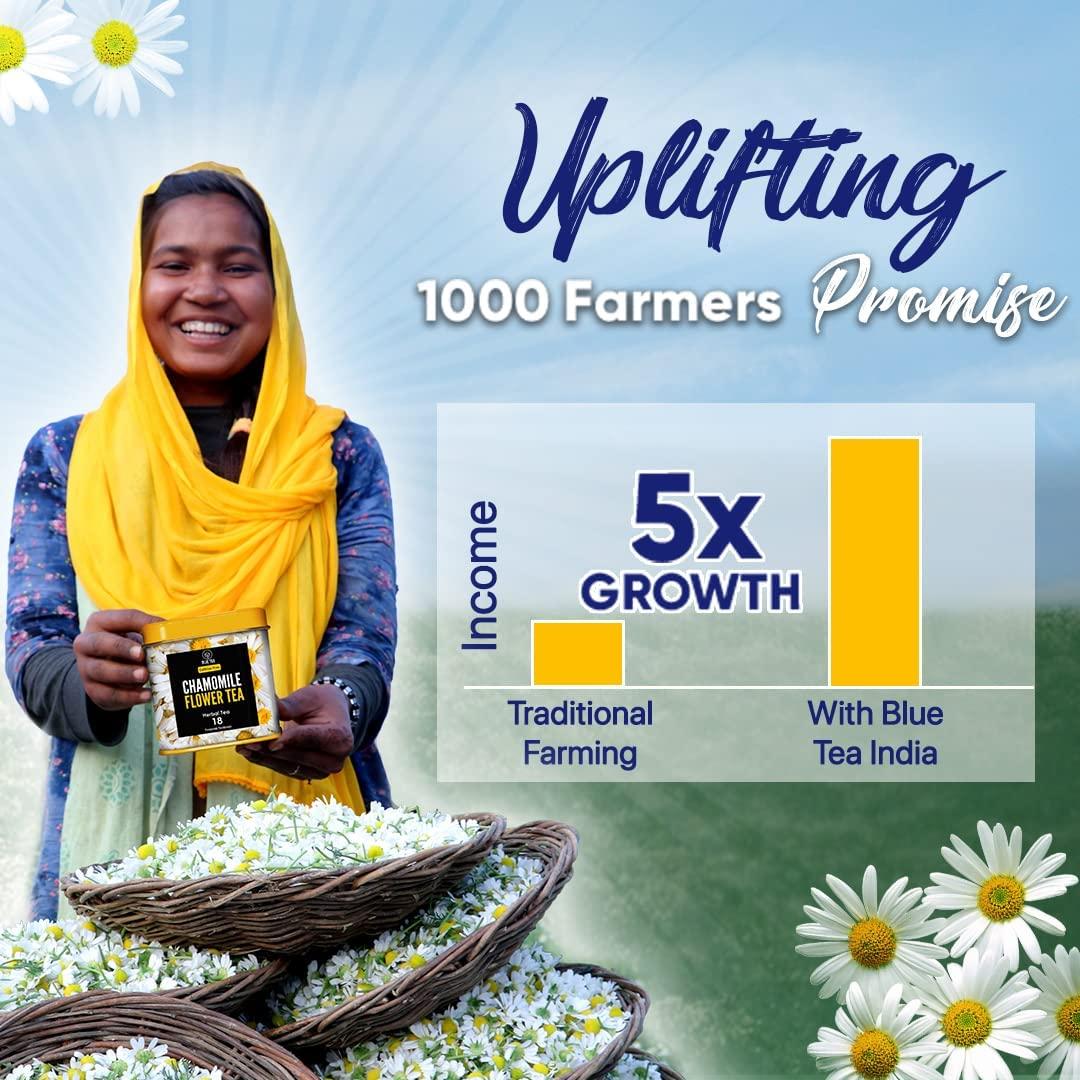 Té de Hierbas Jengibre Ashwagandha - 10 Bolsas - Sin Cafeína