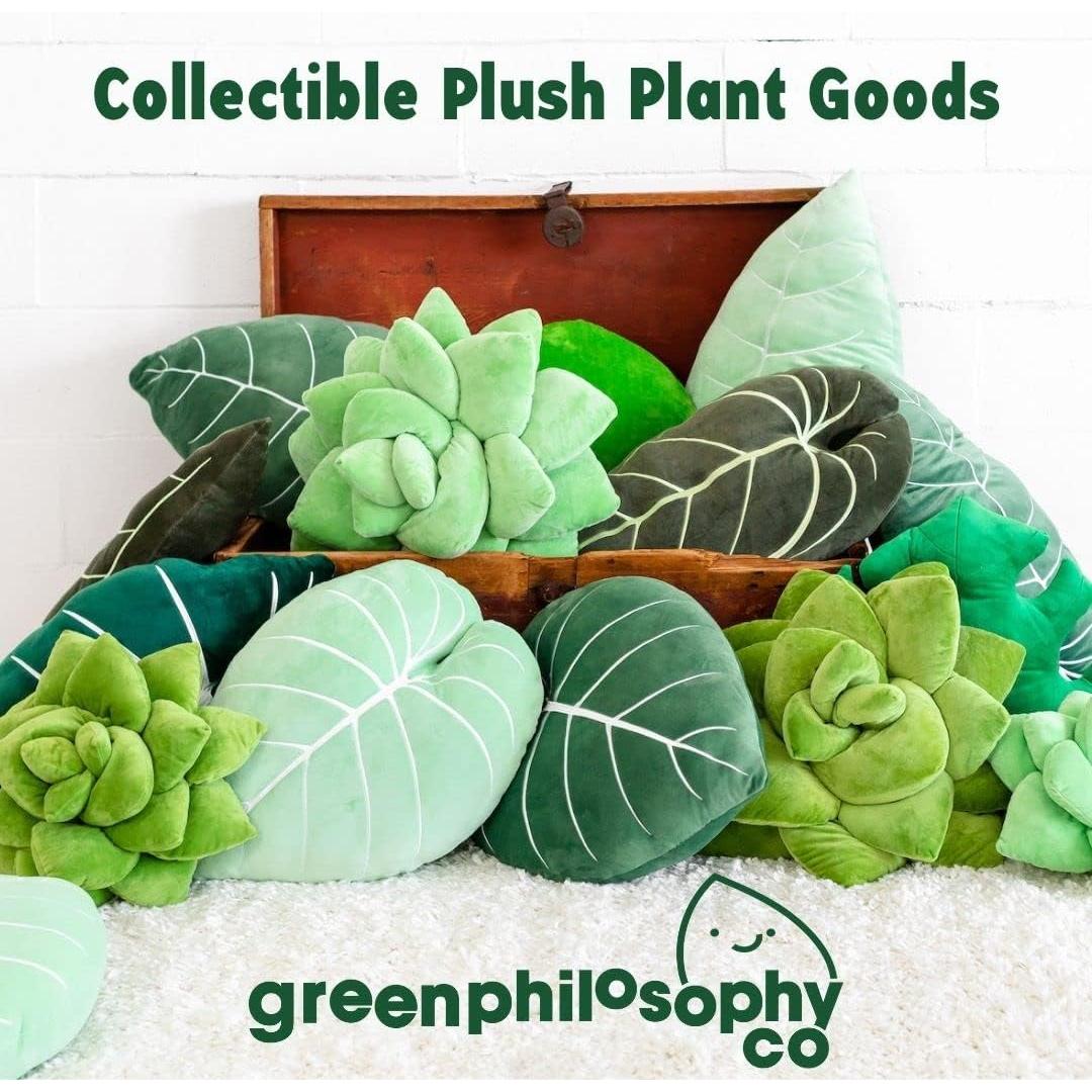 Almohada Hoja Monstera Deliciosa Co. Filosofía Verde 35.6x30.5cm