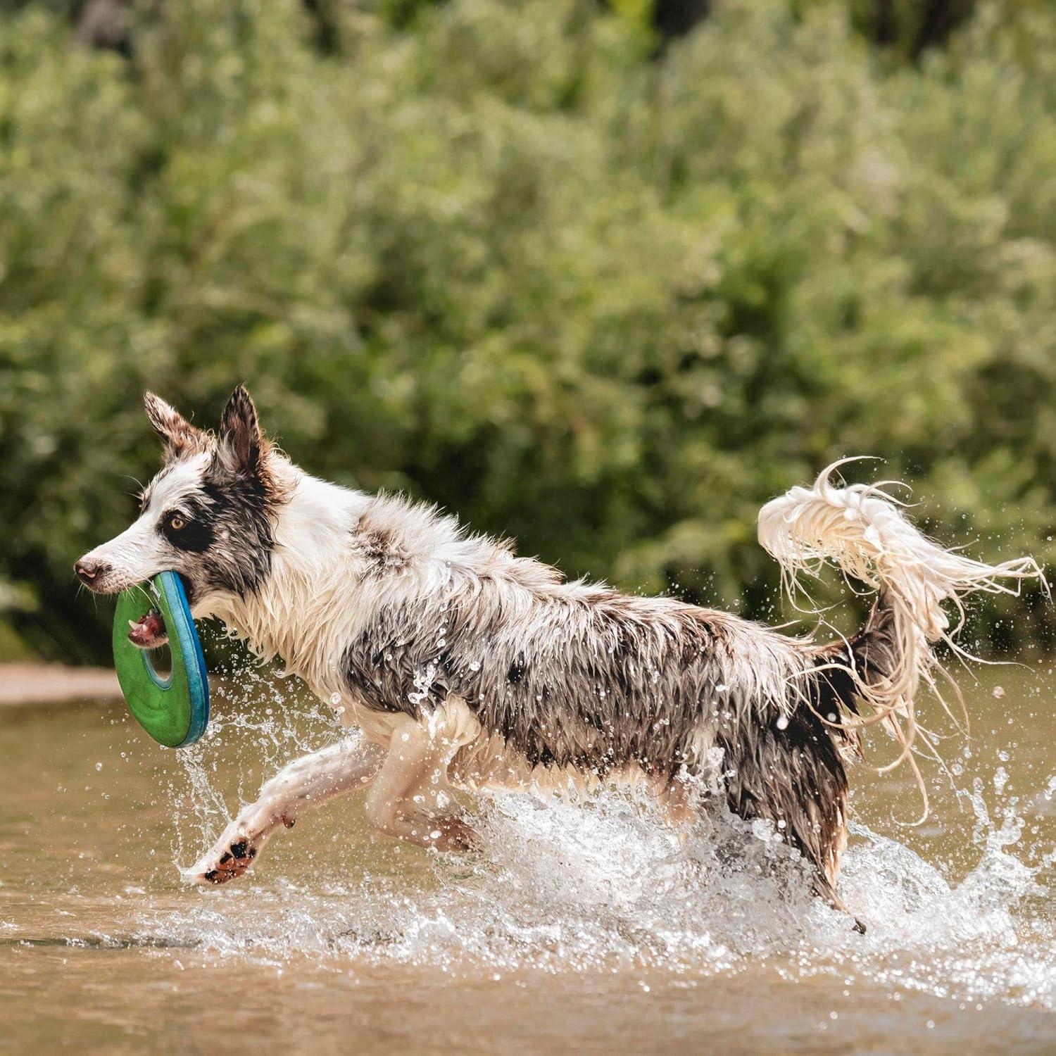 Juguete Volador para Perros Chuckit! Zipflight Mediano 21.6 cm