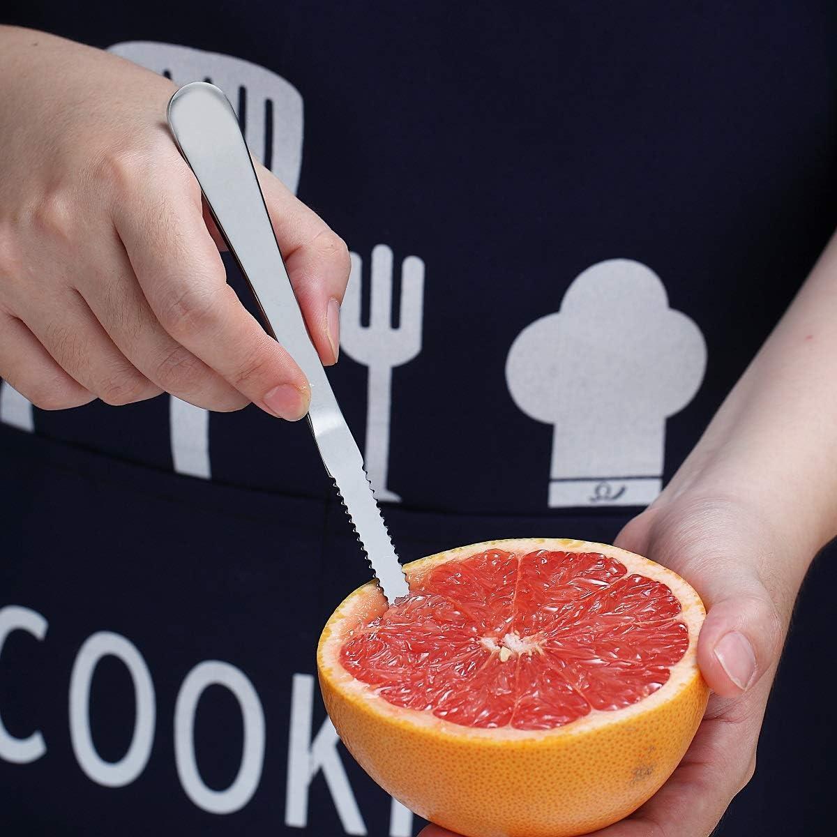 Juego de Cucharas para Pomelo HOMQUEN 5 Piezas Acero Inoxidable