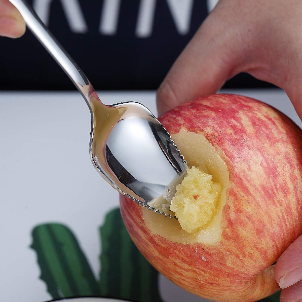 Juego de Cucharas para Pomelo HOMQUEN 5 Piezas Acero Inoxidable