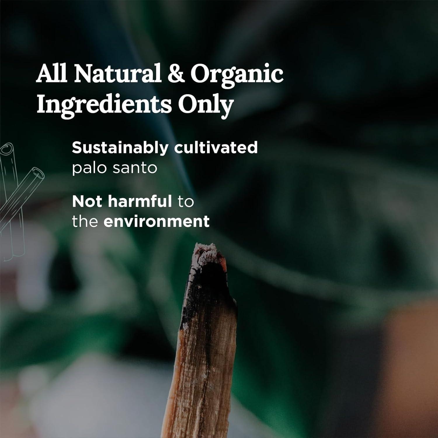 Vela de Aromaterapia Palo Santo Magnífico 101 - 170g Cera Soja