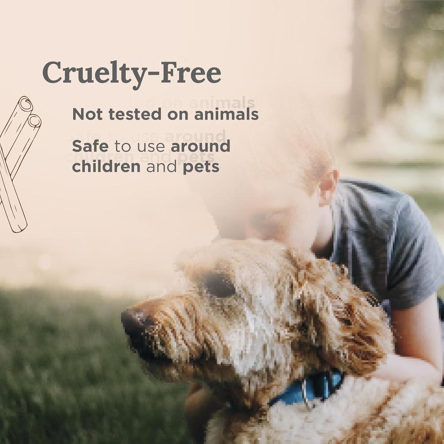 Vela de Aromaterapia Palo Santo Magnífico 101 - 170g Cera Soja