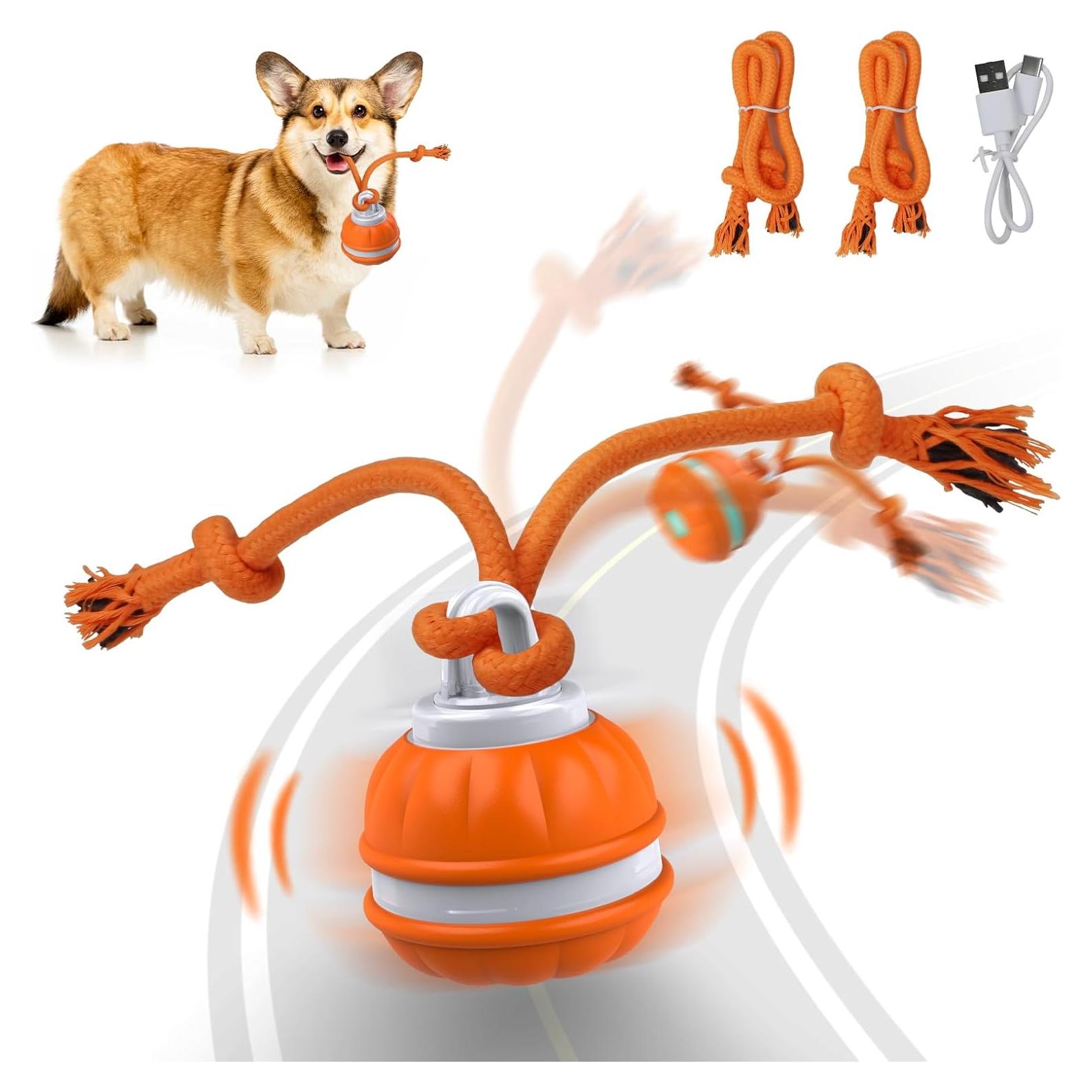 Pelota Interactiva para Perros Salodal P38 Recargable USB