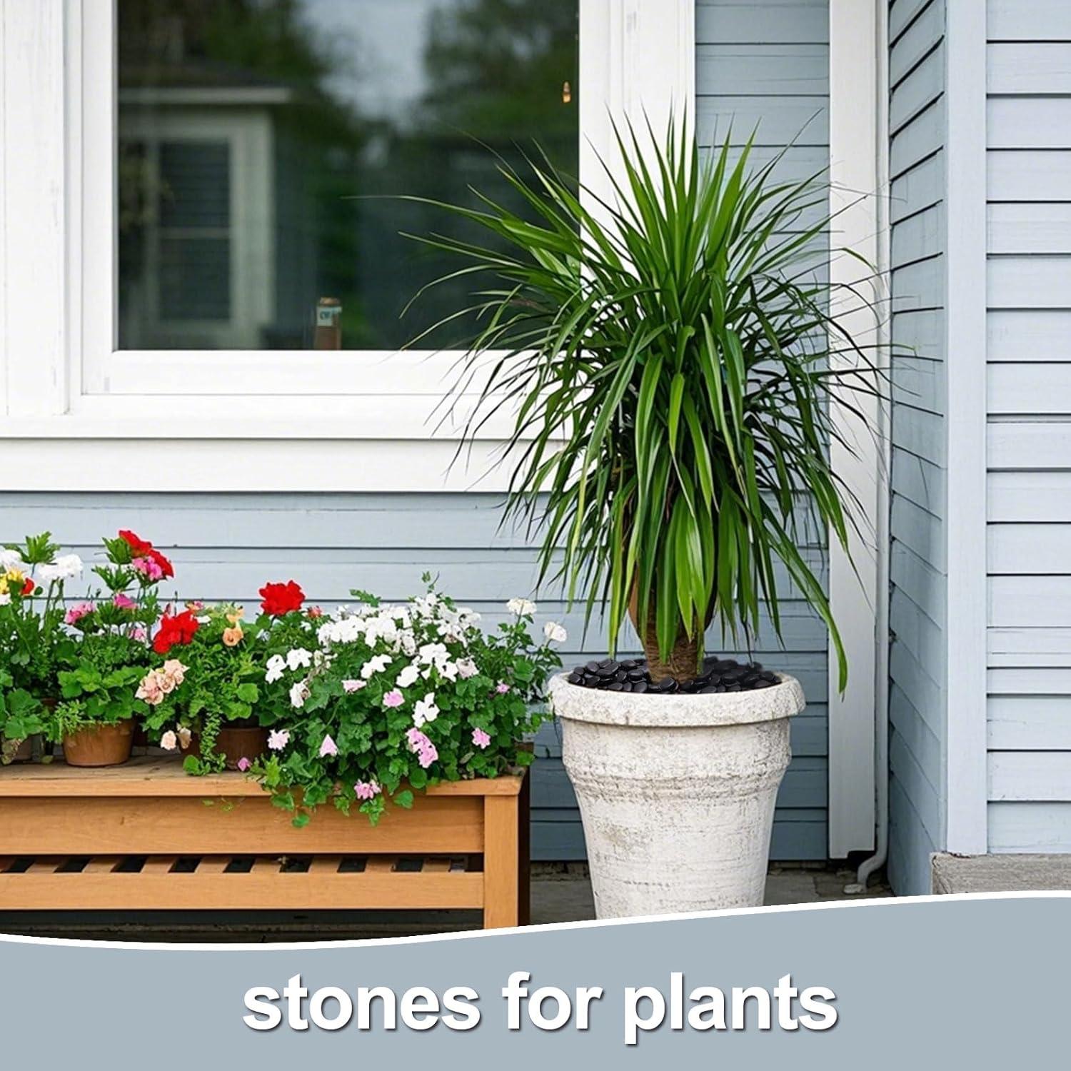 Rocas Negras Pulidas Calofulston 1.0KG 2.5-4.4cm Decorativas