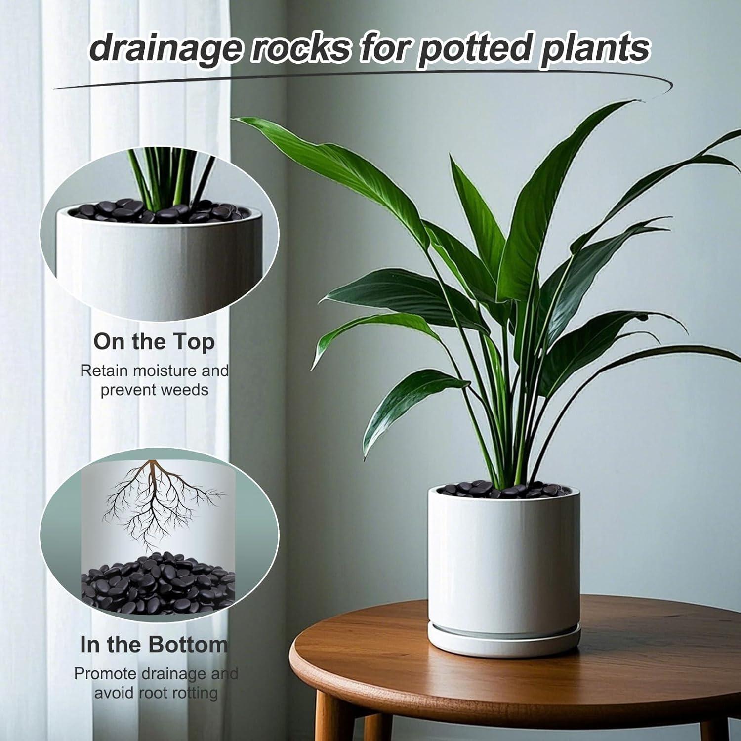 Rocas Negras Pulidas Calofulston 1.0KG 2.5-4.4cm Decorativas