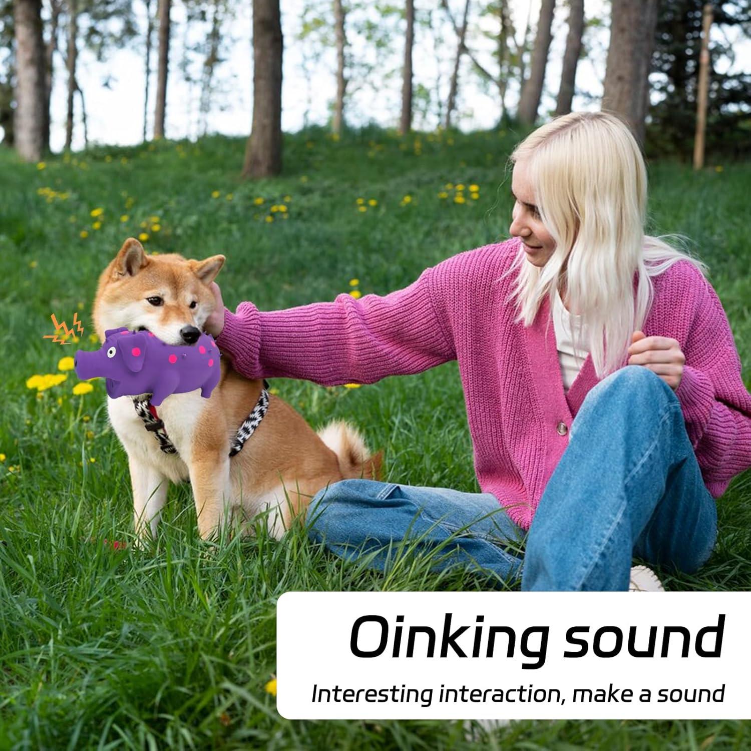 Juguete Squeaky para Perros Andiker 20cm Láttex Oink Cerdo