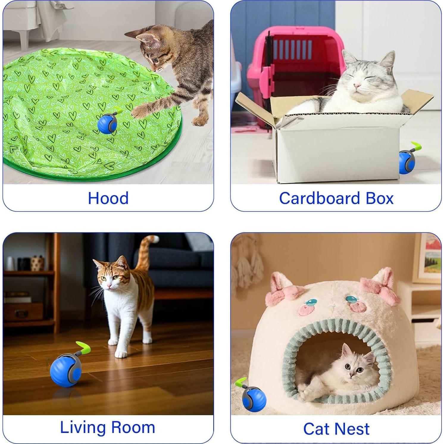 Juguete Interactivo para Gatos LUPAPA con Bola y Pluma Azul