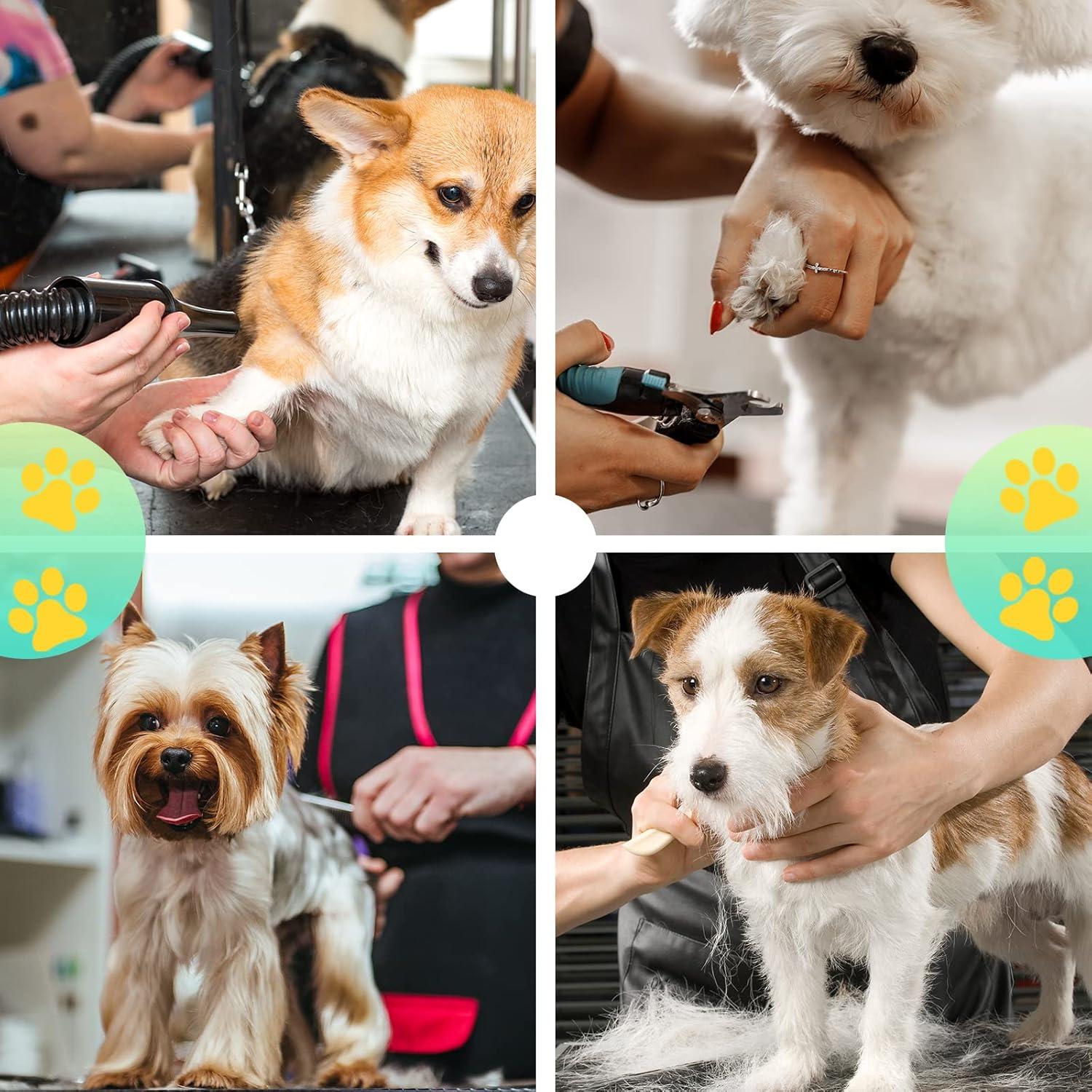 Mesa de Aseo para Perros LOVMOR 91.4x61cm Ajustable Plegable