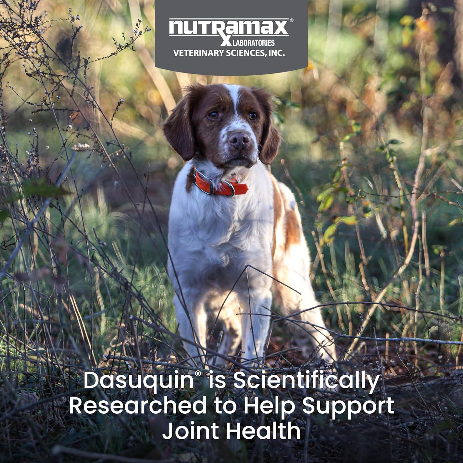 Dasuquin con MSM Nutramax Masticables 150 Unidades Perro Pequeño/Mediano