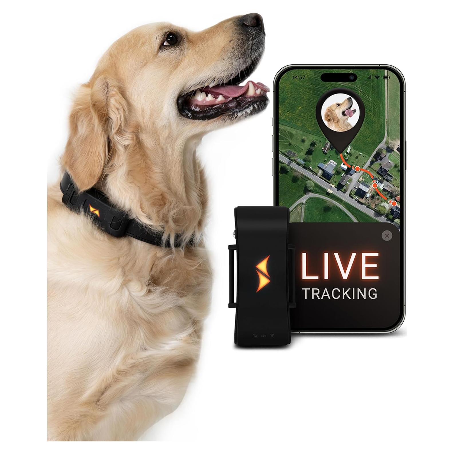 Rastreador GPS PAJ PET Finder 4G - Impermeable y Compacto