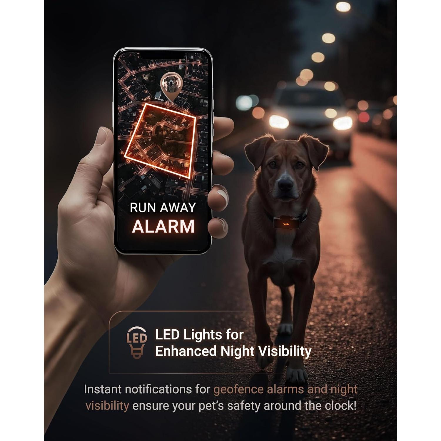 Rastreador GPS PAJ PET Finder 4G - Impermeable y Compacto