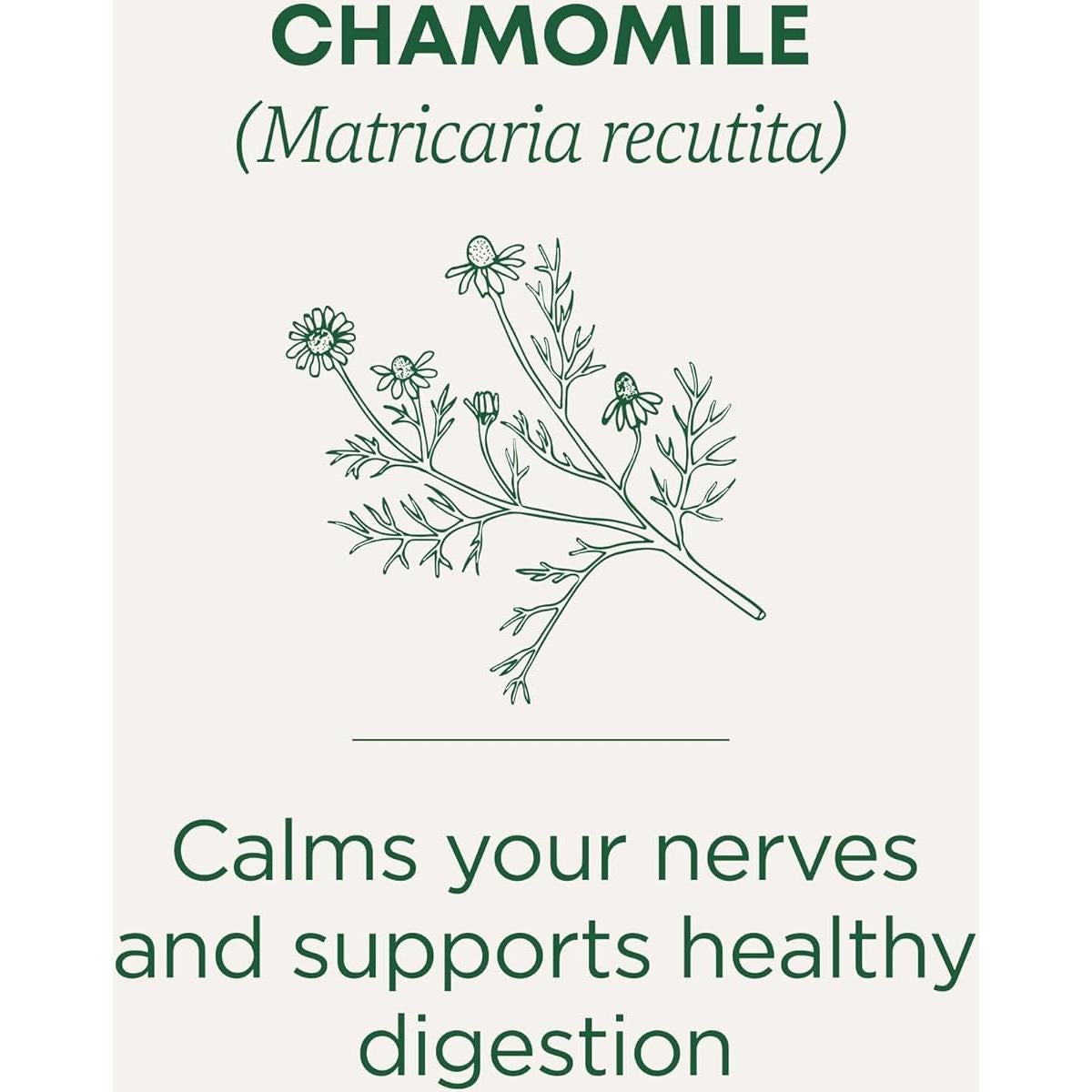 Té de Manzanilla Orgánica Tradicional 96 Bolsitas - Calmante