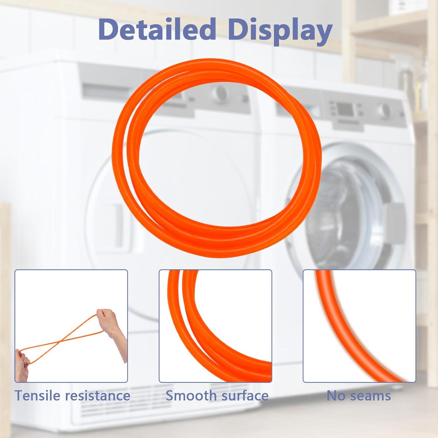 Correa de Ventilador de Soplado R&DOG para Secador Magic Chef