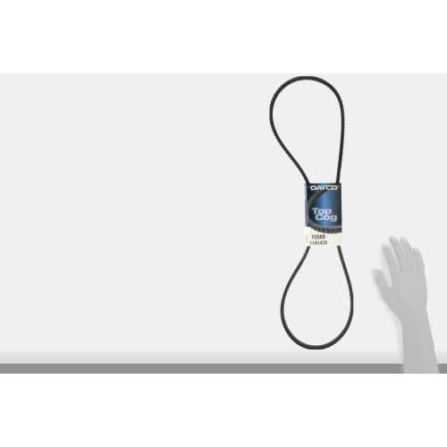 Correa en V Dayco 15560 para Auto 60.5x16cm