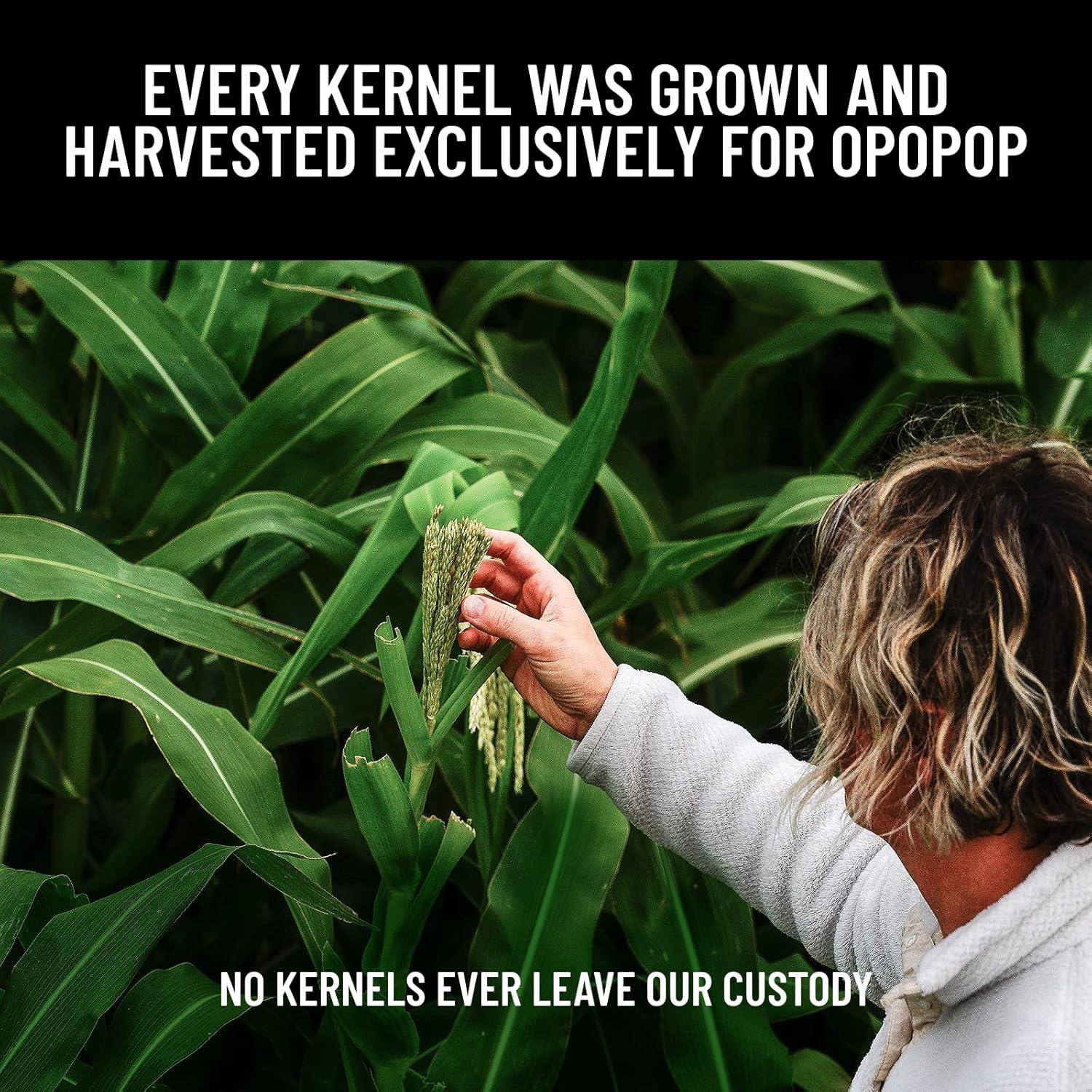 Conjunto de Palomitas Gourmet Opopop - 12 Paquetes + Palomitero