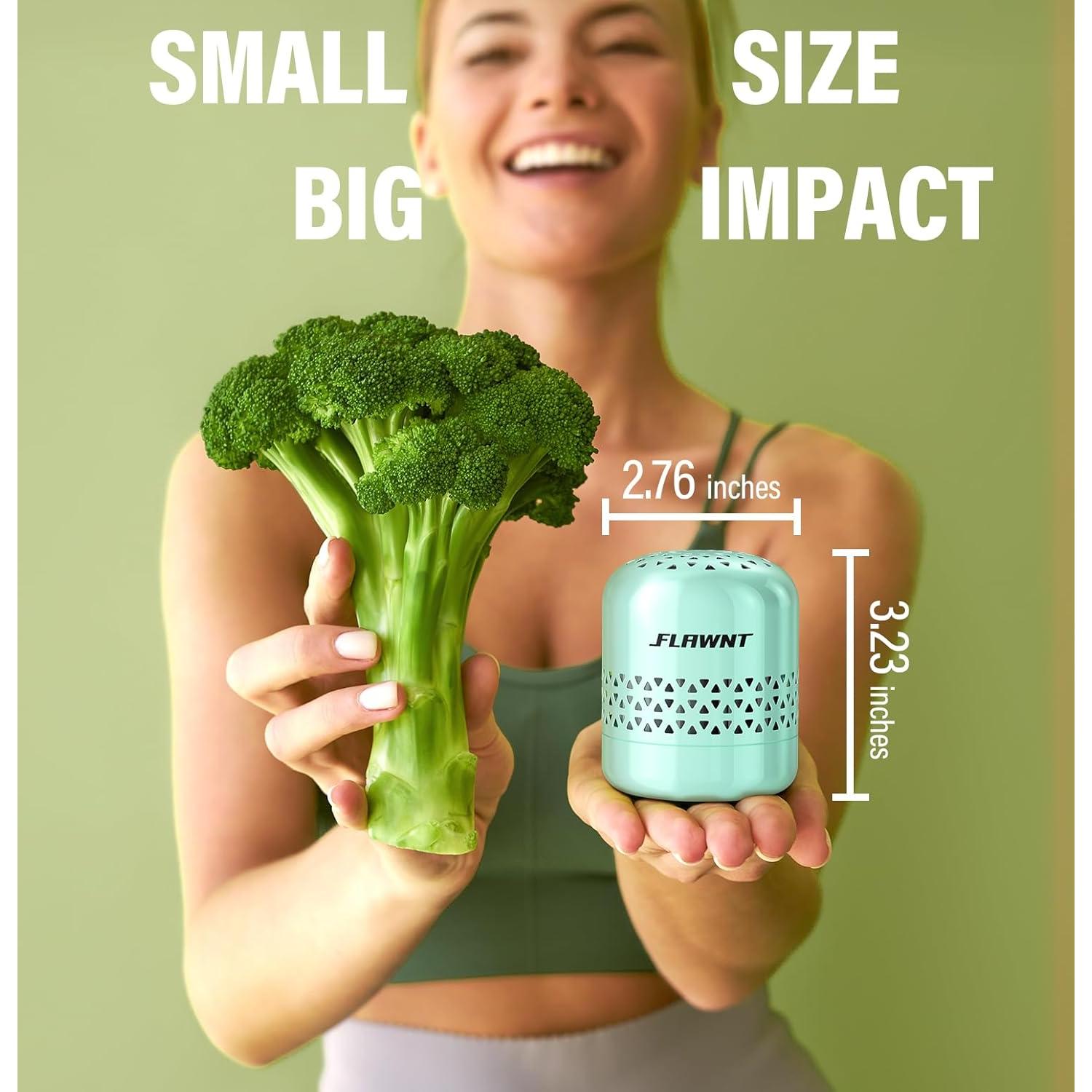 Desodorante de Refrigerador Sin Fragancia 10 Años Shenzhen D1