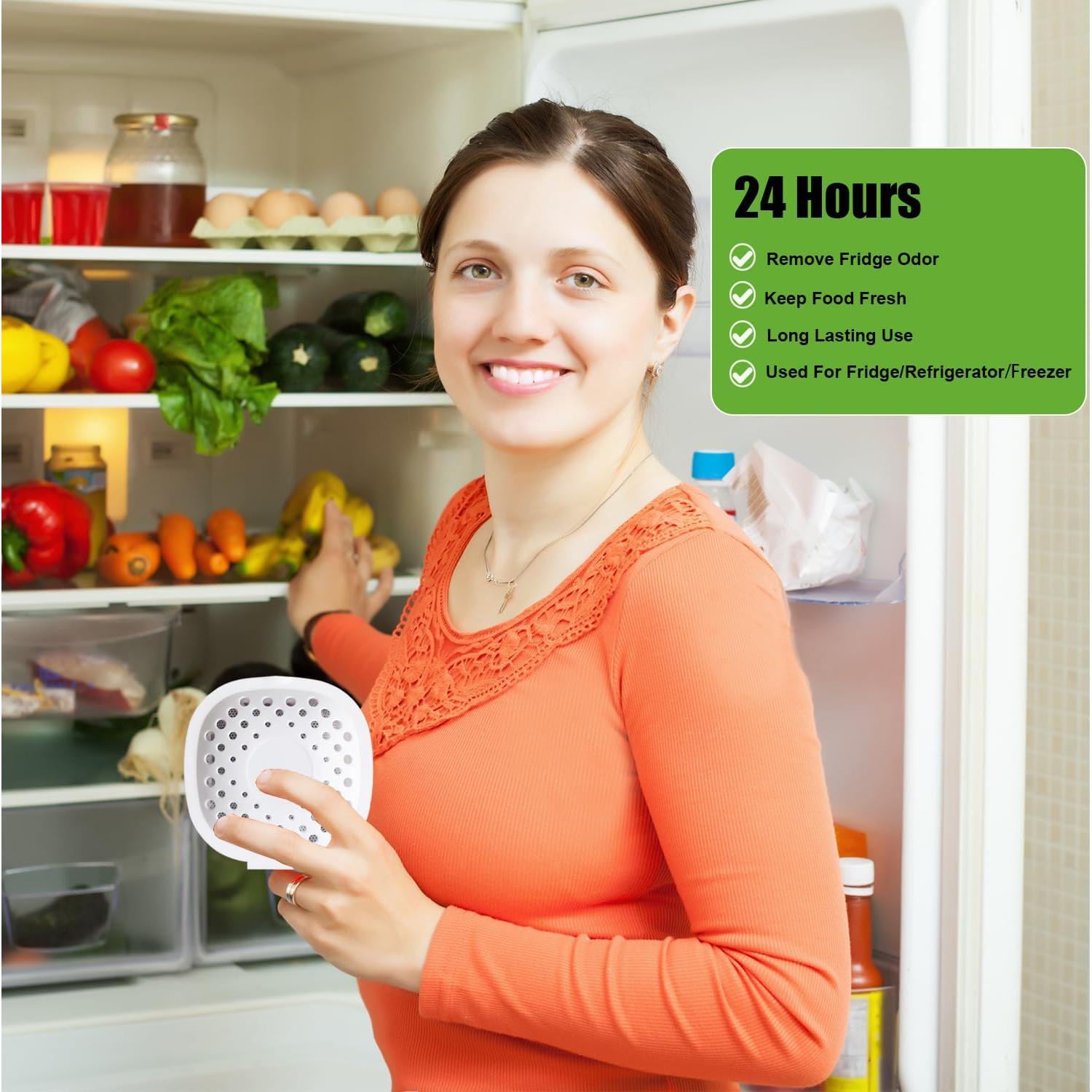 Paquete de 6 Eliminadores de Olores EVA&EVE para Refrigerador