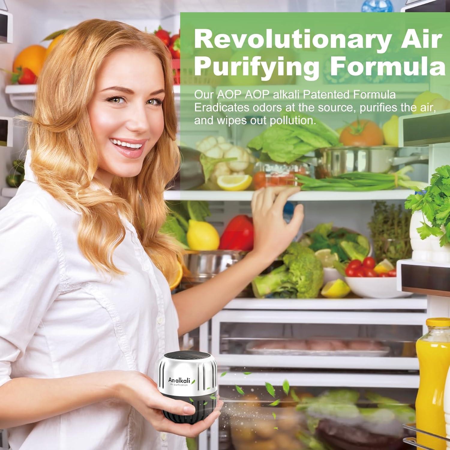 Desodorante de Refrigerador AOP ALKALI 2Pack Ecológico 199g