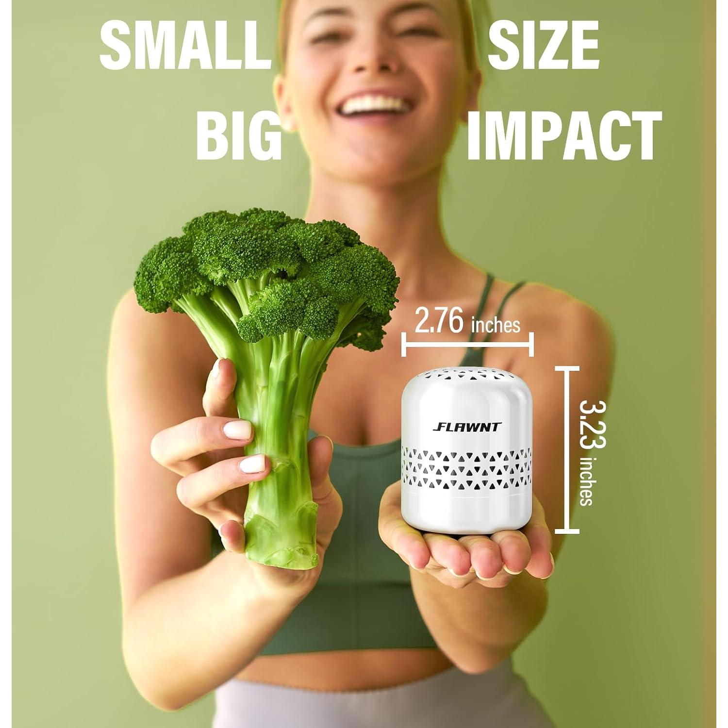 Desodorante de Nevera Shenzhen D1, Eliminador de Olores 10 Años