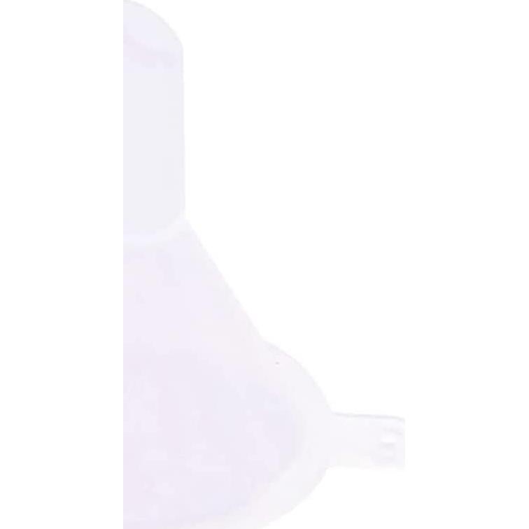 Juego de 10 Embudos Mini de Plástico GANPUB para Llenado