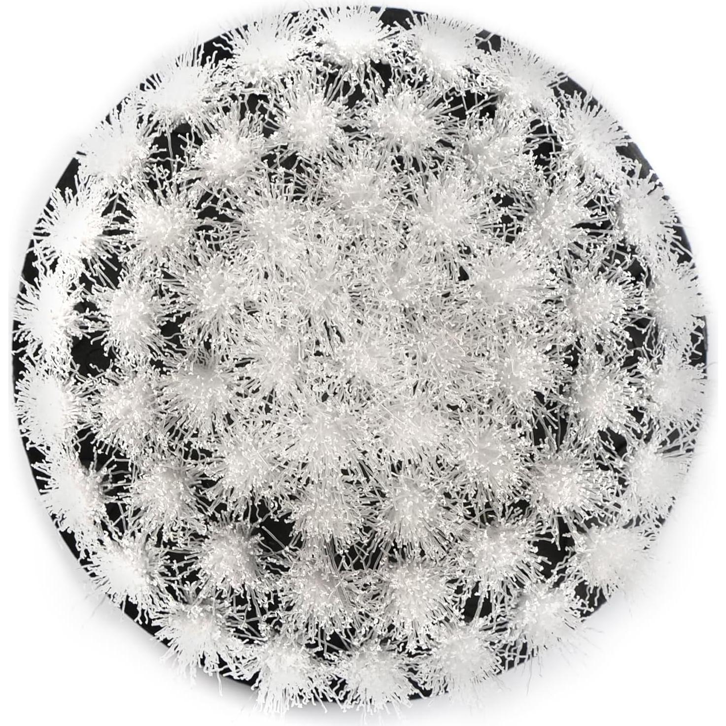 Juego de Cepillos de Taladro Maxshine 2" y 4" Suaves