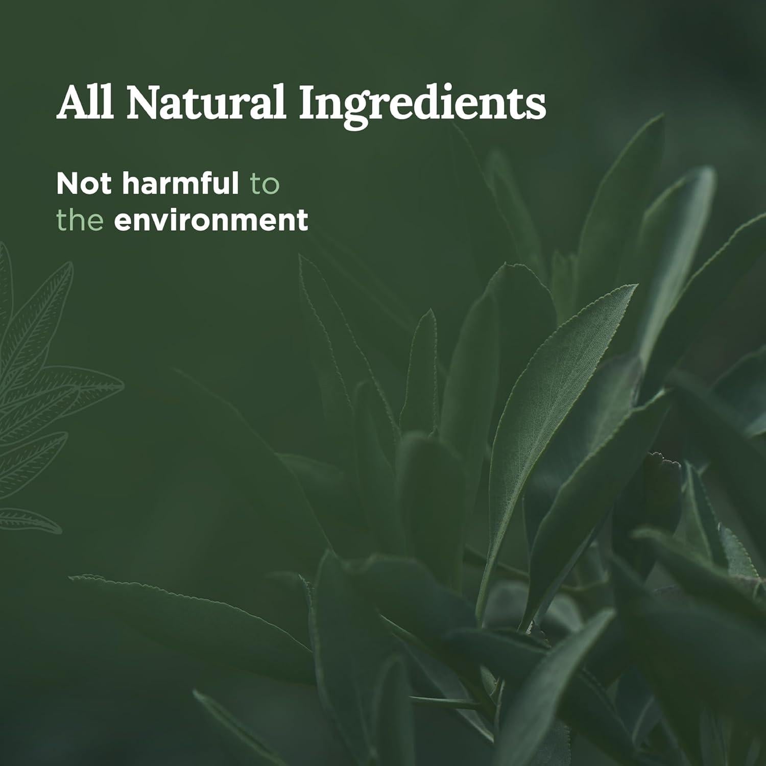 Vela de Aromaterapia Salvia Pura Magnífico 101 - 170 g - 35 Horas