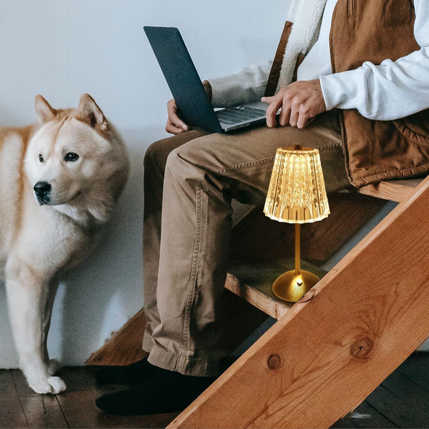 Lámpara de Mesa Inalámbrica Amingulry Dorada 30cm LED Táctil